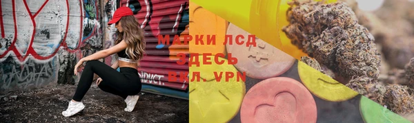трава Наволоки